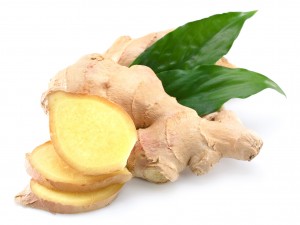 aroma asian brown chinese closeup cuisine east eating ethnicity fleshy food ginger healthy herb herbal ingredient isolated medicine nature odour organic plant root spice vegetable white